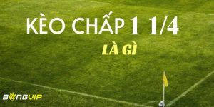 Kinh nghiệm đặt cược kèo chấp 1 ¼ bất bại từ cao thủ
