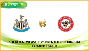 soi kèo Newcastle vs Brentford