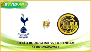 soi kèo Bodo/Glimt vs Tottenham